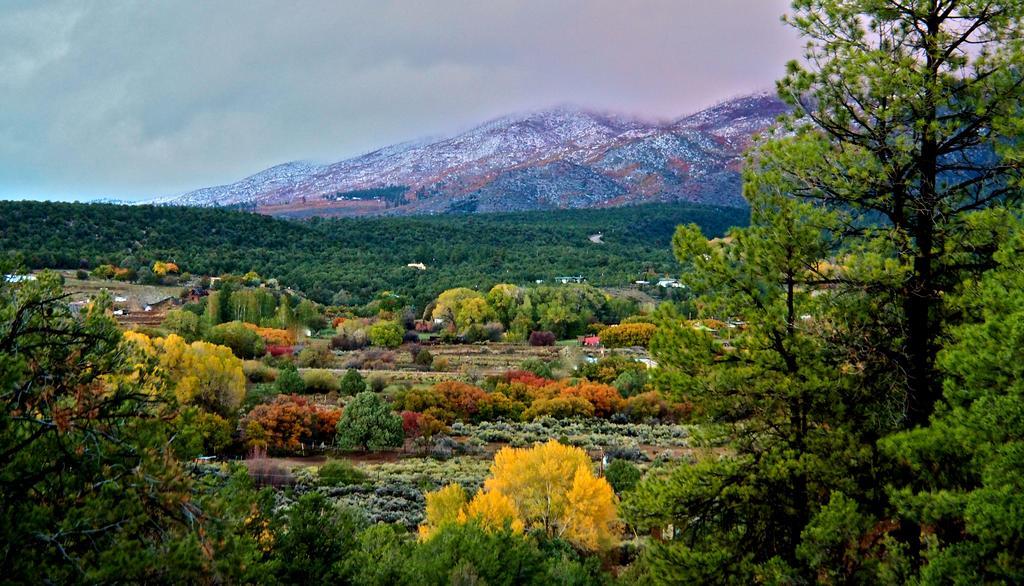 Taos Goji Farm & Eco-Lodge Retreat Arroyo Seco Exterior foto